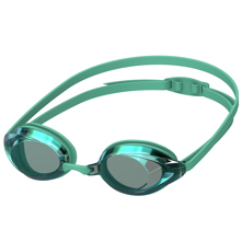 Speedo Vanquisher 2.0 Mirrored Picture