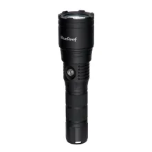 Blue Reef 3000 Lumens Zoomable Picture