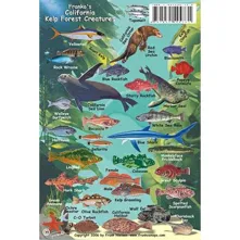Franko Maps, California Kelp F Picture