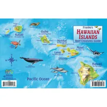 Franko Maps, Hawaiian Islands Picture
