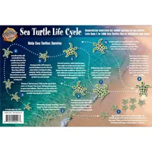 Franko Maps, Sea Turtles Life Picture