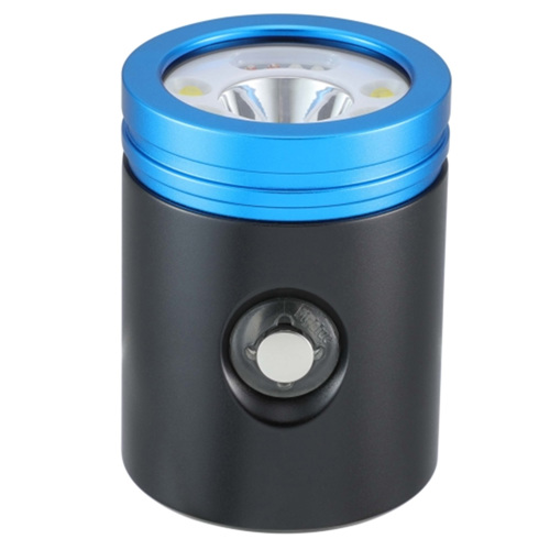 Bigblue VTL2900PB Light Head