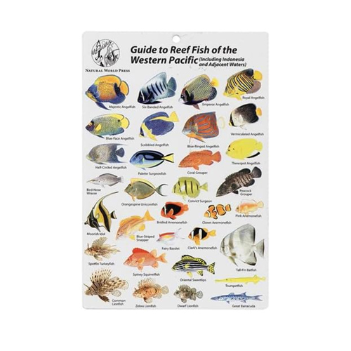 Western Pacific - Indonesia and Adjacent Waters, Fish Card
