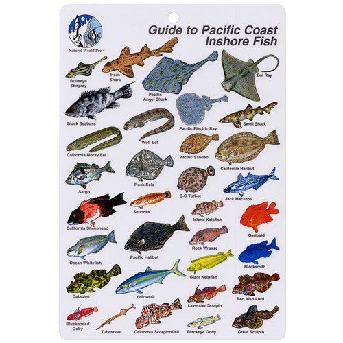 Pacific Inshore Coast Fish I.D. Card