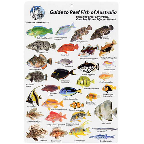 Australia & Fiji Fish I.D. Card