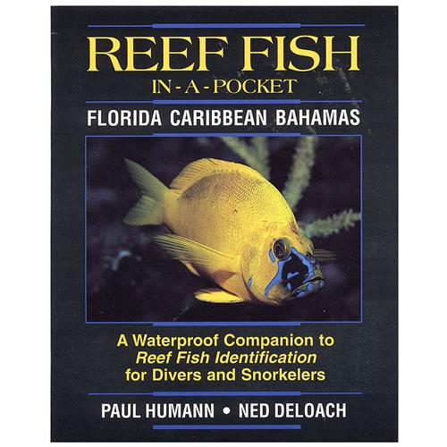 Divers Guide Reef Coral Id Tropical Florida Caribbean Scuba Book glossy paper 