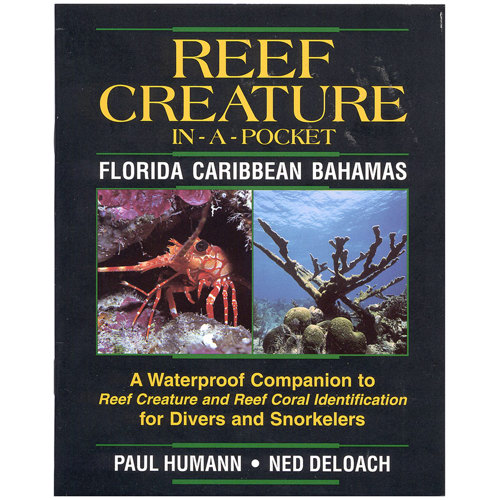 Reef Creatures In-A-Pocket Florida Caribbean Bahamas
