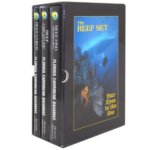 The Reef Set: Reef Fish, Reef Creature and Reef Coral