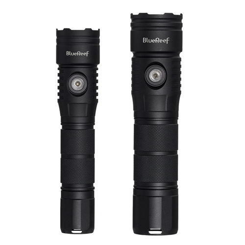 Blue Reef 1200 Lumens & 2000 Lumens Dive Light Kit