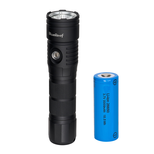 Blue Reef 2000 Lumens Dive Light & Extra Battery Kit