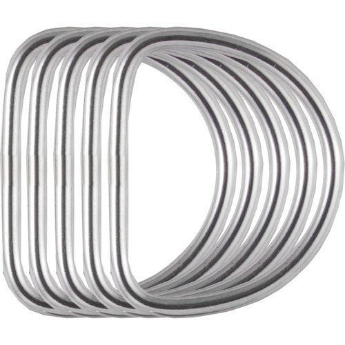Dive Rite 2" (5.1cm) Stainless Steel D Ring, 5 PC Bundle