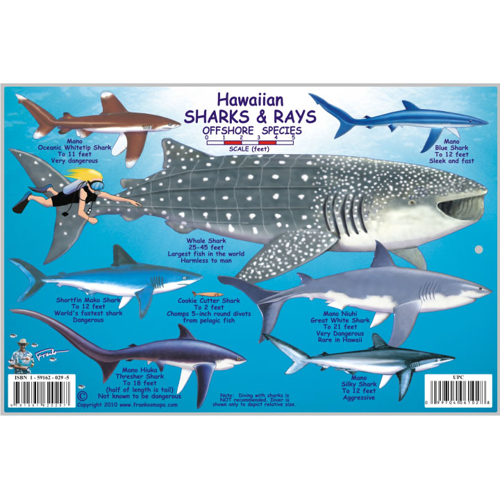 Franko Maps, Hawaiian Sharks & Rays ID-Card