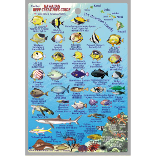 Franko Maps Hawaiian Islands Reef Creatures Mini ID-Card