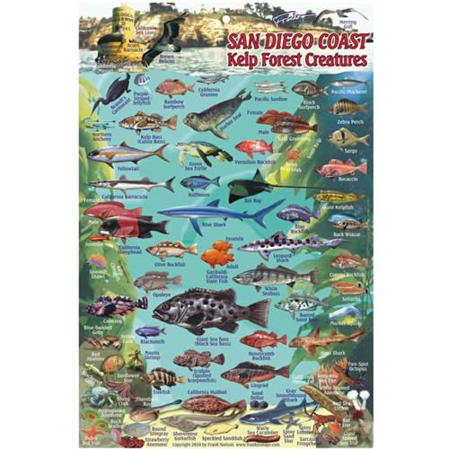 Mission Bay San Diego California Map & Guide Laminated Poster Franko Maps 