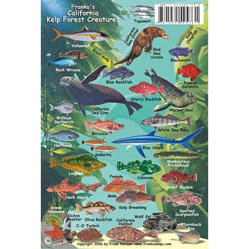 Franko Maps, California Kelp Forest, Mini ID-Card