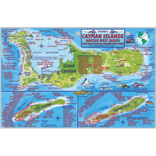 Franko Maps, Cayman Islands Reef Creatures Fish ID-Card
