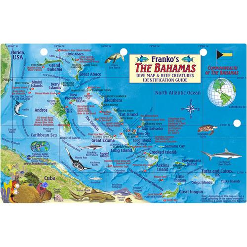 Bimini Islands Bahamas Dive Map & Reef Creatures Waterproof Fish Card Franko Map 