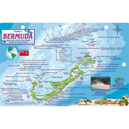 Franko Maps Bermuda Reef Creatures Fish ID-Card