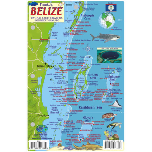 Franko Maps, Belize Reef Creatures Fish ID-Card