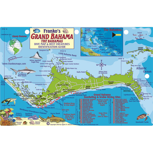 Franko Maps Grand Bahama Island, Bahamas Fish ID-Card