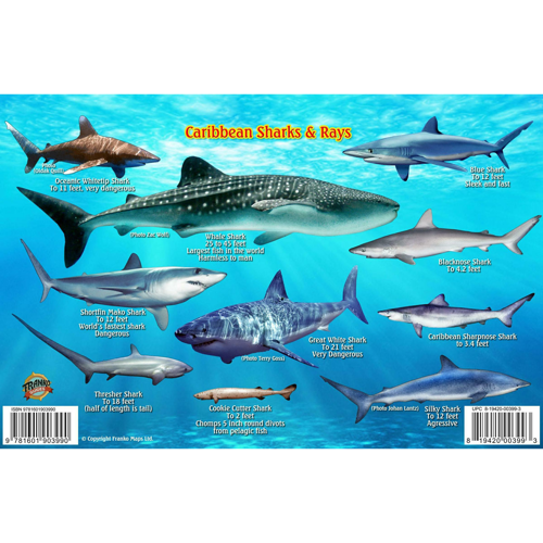 Franko Maps Caribbean Sea Shark and Rays Fish ID-Card