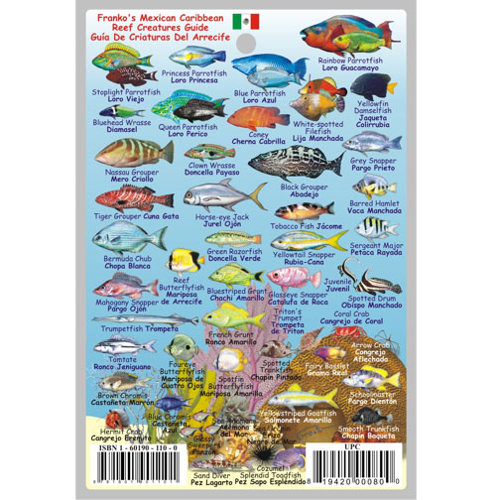Franko Maps, Mexican Caribbean Mini Fish ID-Card