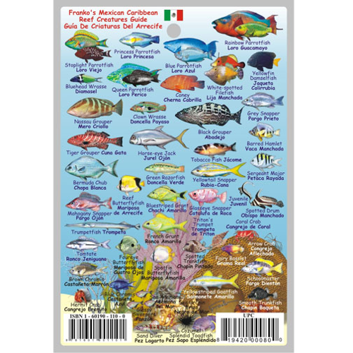 Philippines Mini Fish Card – Franko Maps