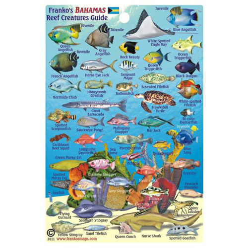 Franko Maps, Bahamas Mini Fish ID-Card