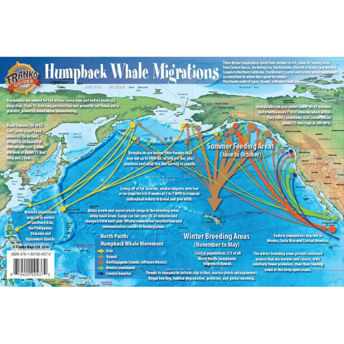 Franko Maps Pacific Humpback Whale Migration Card