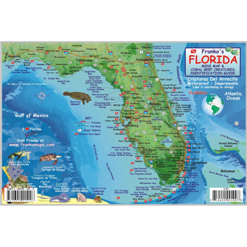 Guide to Reef Fish of Florida Mini ID Card