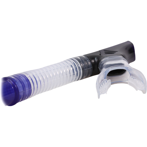 Genesis Mojave Dry Snorkel