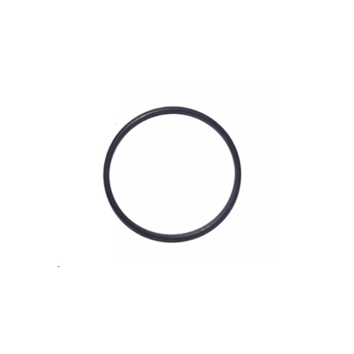 Interspiro O-Ring for Divator Full Face Mask (AGA)