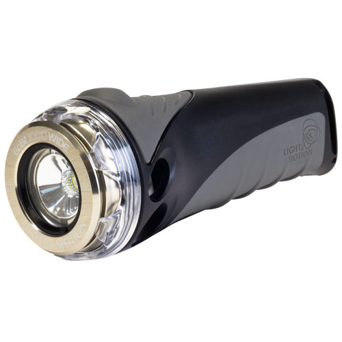 Light & Motion GoBe 1000 Wide Beam Light, Silver