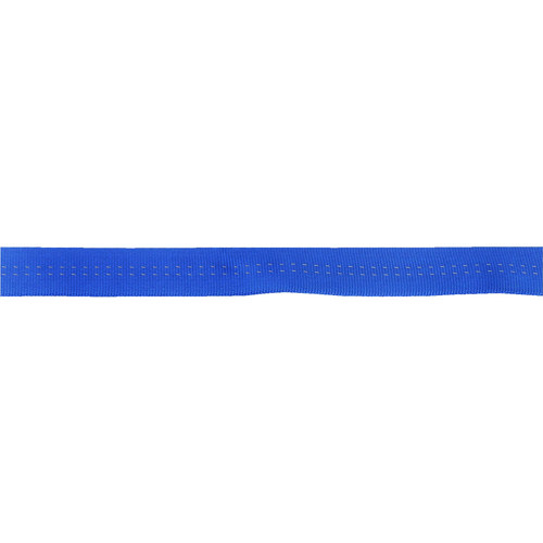 NRS Public Safety Sterling TechTape 1" Tublar Webbing 300' Spool Blue