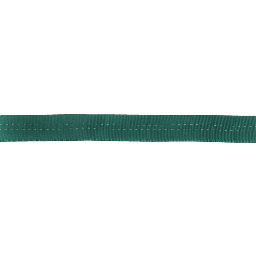 NRS Public Safety Sterling TechTape 1" Tublar Webbing 300' Spool Green