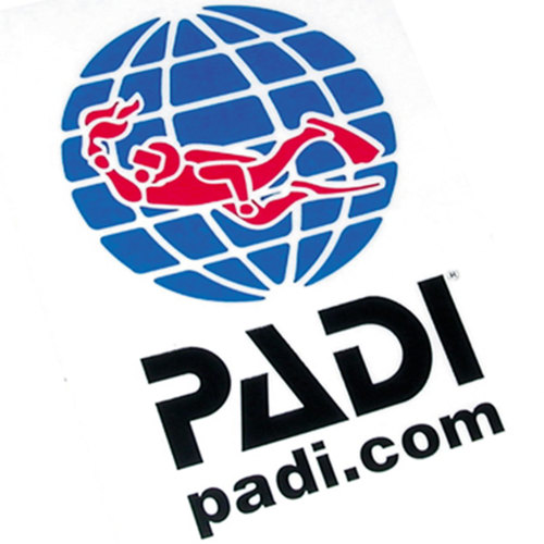 Padi Logo Decal, Transparent
