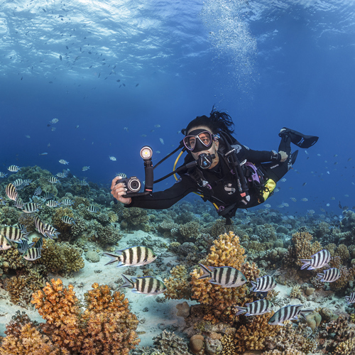 Scuba Flashlight Dive Light For Underwater Photography, 3500Lumens