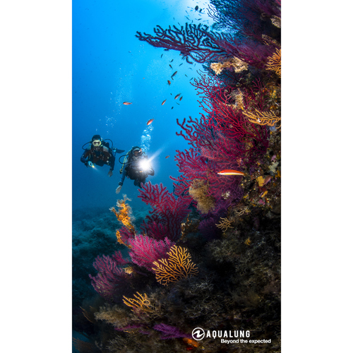 Aqualung Seaflare Pro 2800 Lumens Dive Light