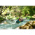 Aqua Marina Steam Kayak: Picture 2 thumbnail