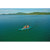 Aqua Marina Steam Kayak: Picture 5 thumbnail