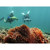 Asiwo Manta Underwater Scooter: Picture 4 thumbnail