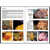 New World Publications Reef Fish ID - Florida Caribbean Bahamas...: Picture 3 thumbnail