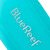 Blue Reef Freediving Fins: Picture 18 thumbnail