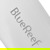 Blue Reef Freediving Fins: Picture 15 thumbnail
