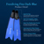 Blue Reef Freediving Fins: Picture 3 thumbnail