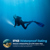 Blue Reef 1200 Lumens Dive Light: Picture 5 thumbnail