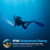 Blue Reef 2000 Lumens Dive Light: Picture 6 thumbnail