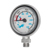 Blue Reef Nano Pressure Gauge Only: Picture 3 thumbnail