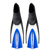Bonassi Anthias Fins: Picture 1 thumbnail