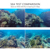 DiveVolk SeaTouch 4 Max Underwater Smart...: Picture 3 thumbnail